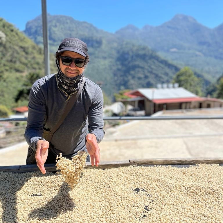 Finca La Maravilla Guatemala 2023