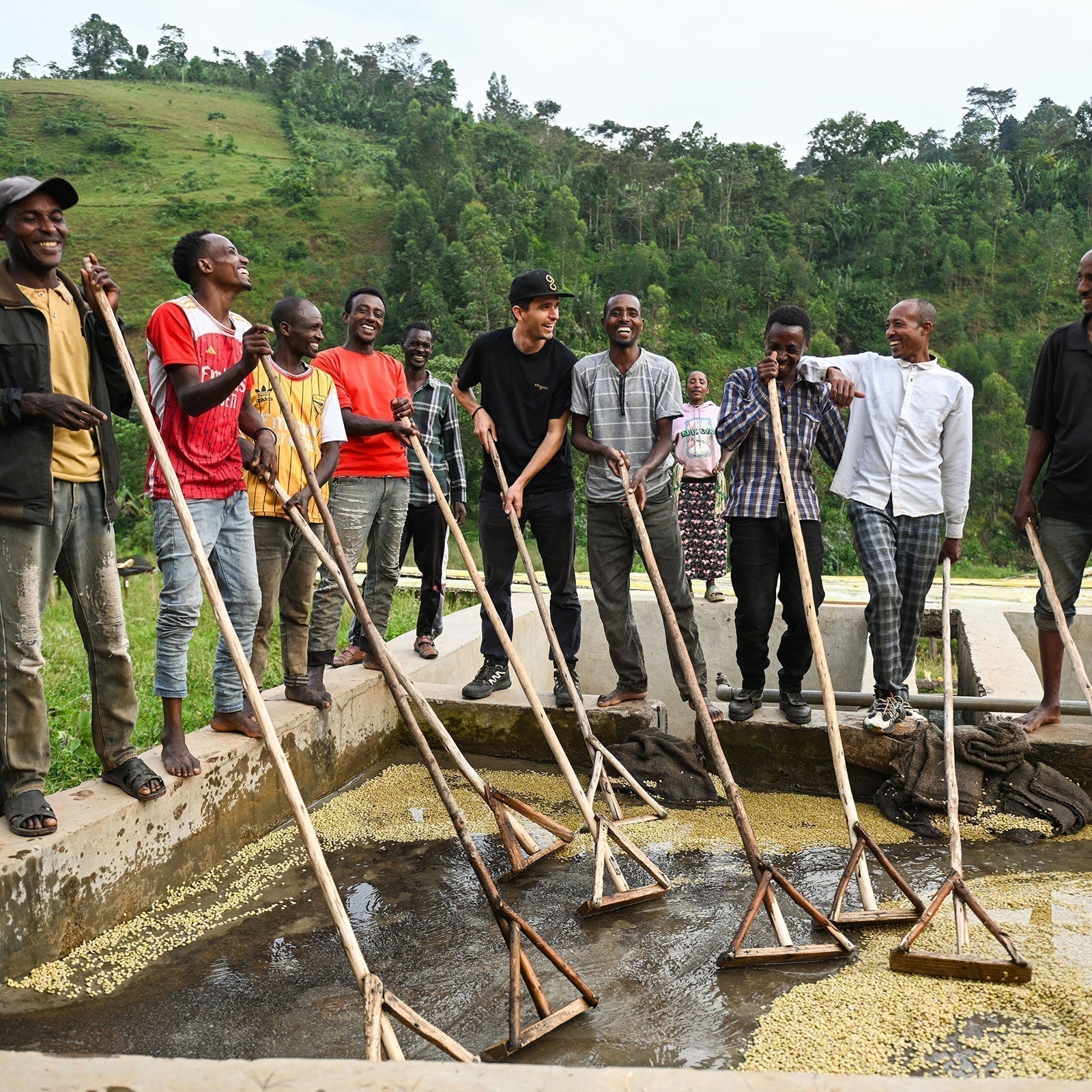 Daniel wäscht Kaffee mit Feunden