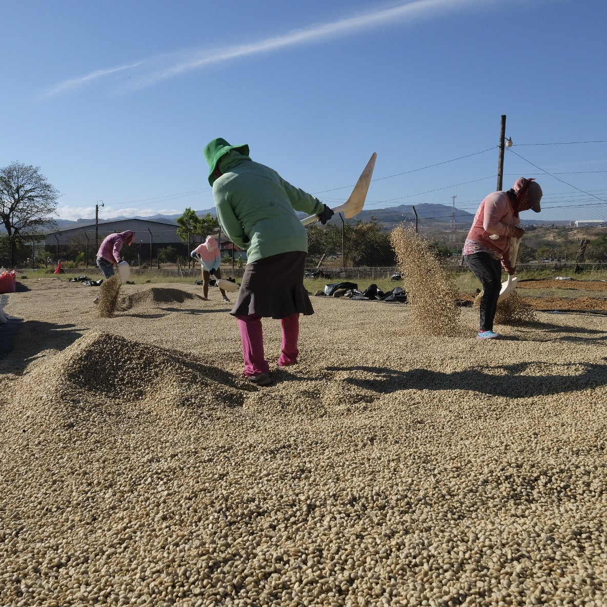 Kaffee auf Patios in Nicaragua
